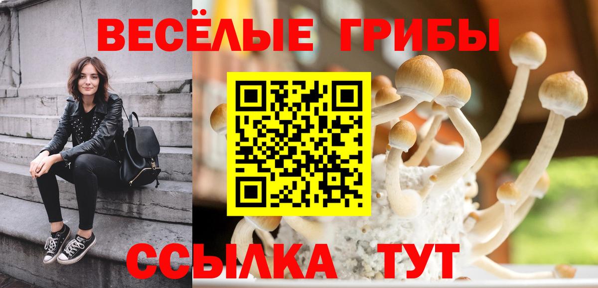 Псилоцибиновые грибы мицелий Коряжма